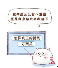 怎么样描写做个吃瓜群众,做个吃瓜群众的快乐生活