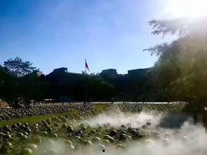 武夷山最近吃瓜群众事件,揭秘网络舆论的风云变幻