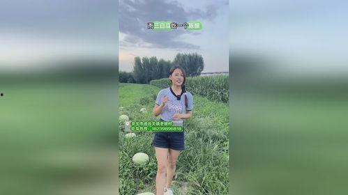 吃瓜群众的白色系,吃瓜群众的味蕾盛宴