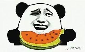 博肖和吃瓜群众什么关系,揭秘吃瓜群众与博肖之间的奇妙关系