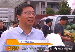 漯河吃瓜群众新闻报道,吃瓜群众热议最新新闻事件