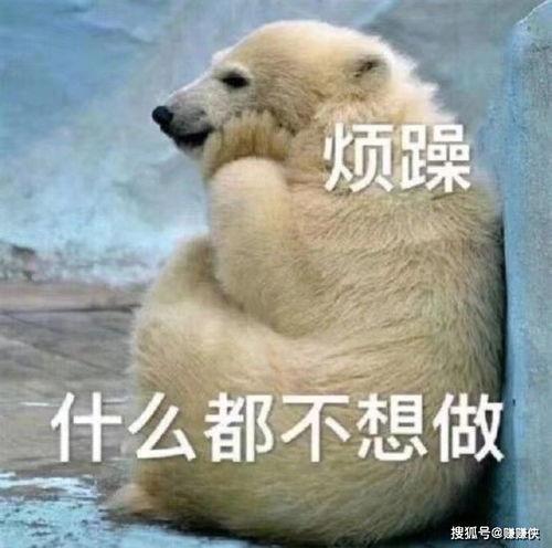 吃瓜群众飘过图片,揭秘网络热图背后的故事