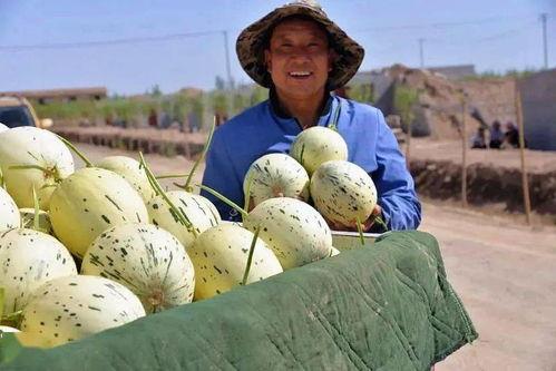 mileapo吃瓜群众,吃瓜群众眼中的神秘现象