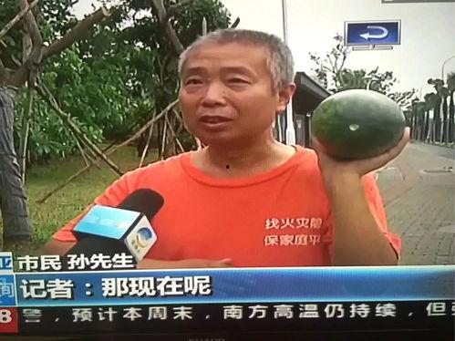 容城吃瓜群众事件,一场网络舆论的风暴与反思