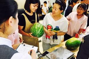 儿时吃瓜群众游戏有哪些,那些年我们一起玩过的吃瓜群众游戏