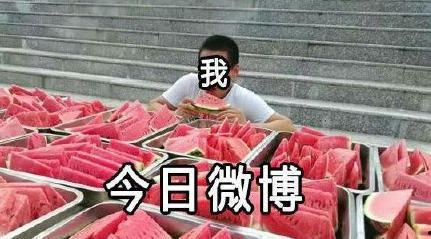 吃瓜群众结婚,一场别开生面的婚礼盛宴