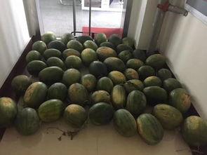 吃瓜群众早点回家,揭秘娱乐圈幕后故事