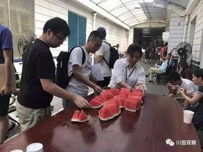 兰州三个吃瓜群众图片,三位吃瓜群众的夏日闲谈瞬间