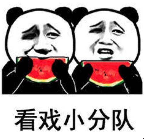 光头佬吃瓜群众是谁啊表情包,揭秘网络表情包背后的趣味人生