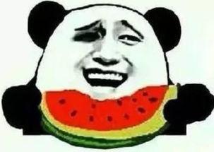 吃瓜群众中的瓜是什么梗,网络流行语的演变与内涵