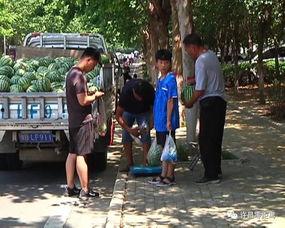 项城吃瓜群众事件视频,一场网络舆论的风暴与反思