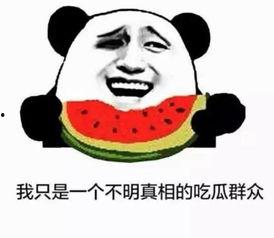 吃瓜群众最好的表达