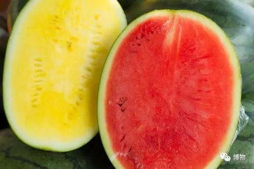 吃瓜群众高档喊法,高端社交圈的新宠儿