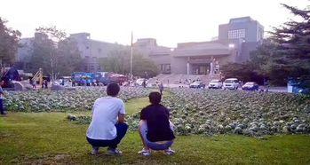 曹县吃瓜群众事件事件详情,一场网络舆论的风暴与反思