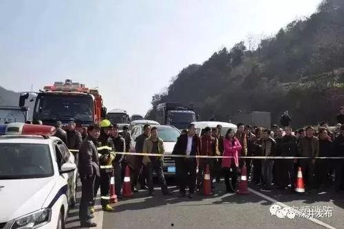 曹县吃瓜群众事件事件详情,一场网络舆论的风暴与反思