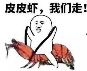 看见吃瓜群众的句子,吃瓜群众视角下的社会百态