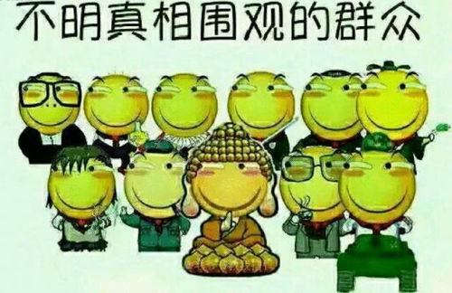 吃瓜群众的悠闲生活