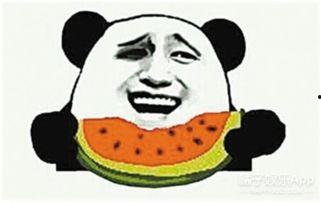 吃瓜群众小阿慧,揭秘娱乐圈那些事儿