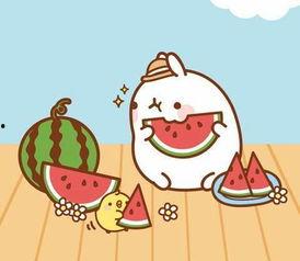 吃瓜群众的称呼,网络时代的围观力量