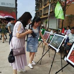 佛山吃瓜群众事件,网络舆论的风暴与反思