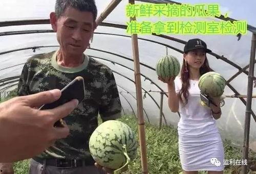 吃瓜群众直播号,带你领略网络直播的魅力与趣味